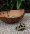 Load image into Gallery viewer, Dalmation Jasper Tumblestone
