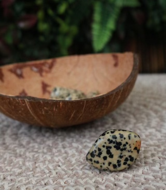 Dalmation Jasper Tumblestone