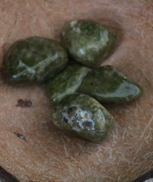 Epidote Snowflake Tumblestone