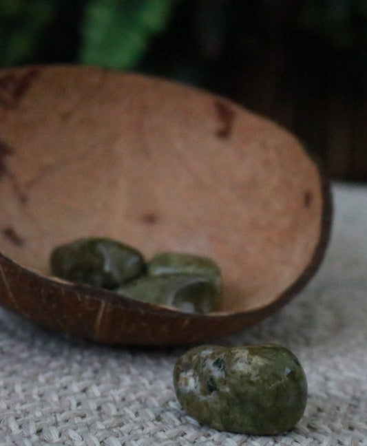 Epidote Snowflake Tumblestone
