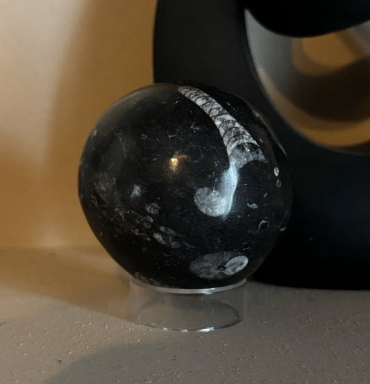 Orthaceras Sphere
