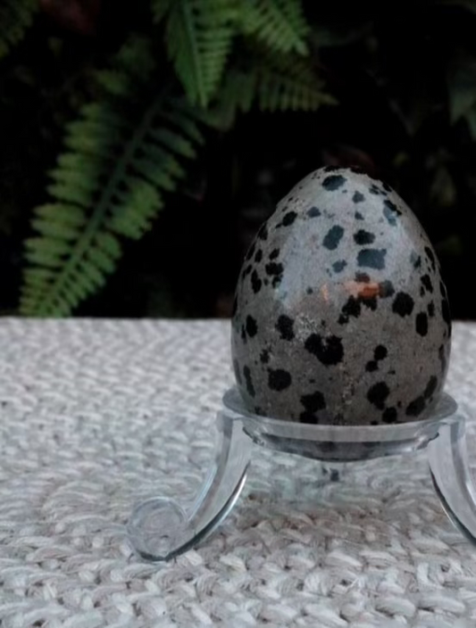 Dalmation Jasper Crystal Egg
