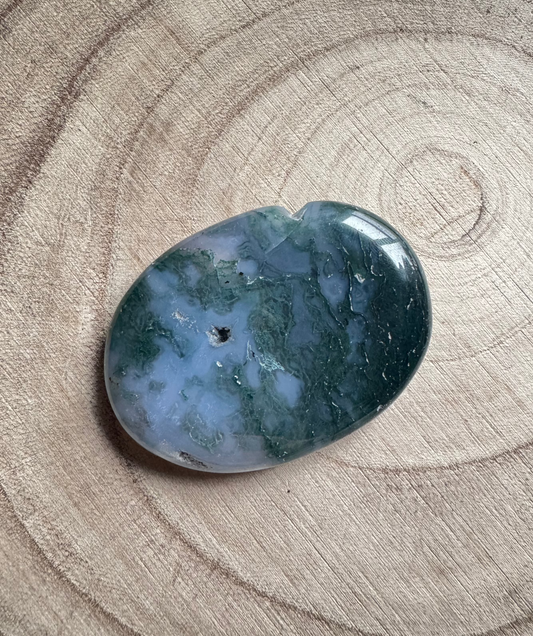 Moss Agate Palm Stone