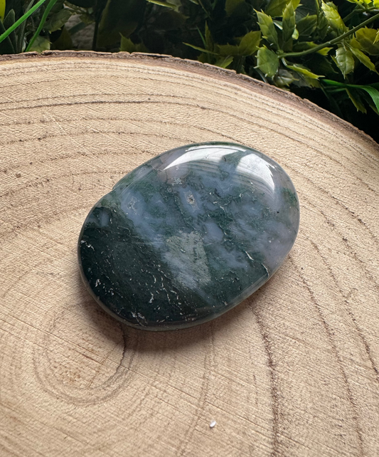 Moss Agate Palm Stone