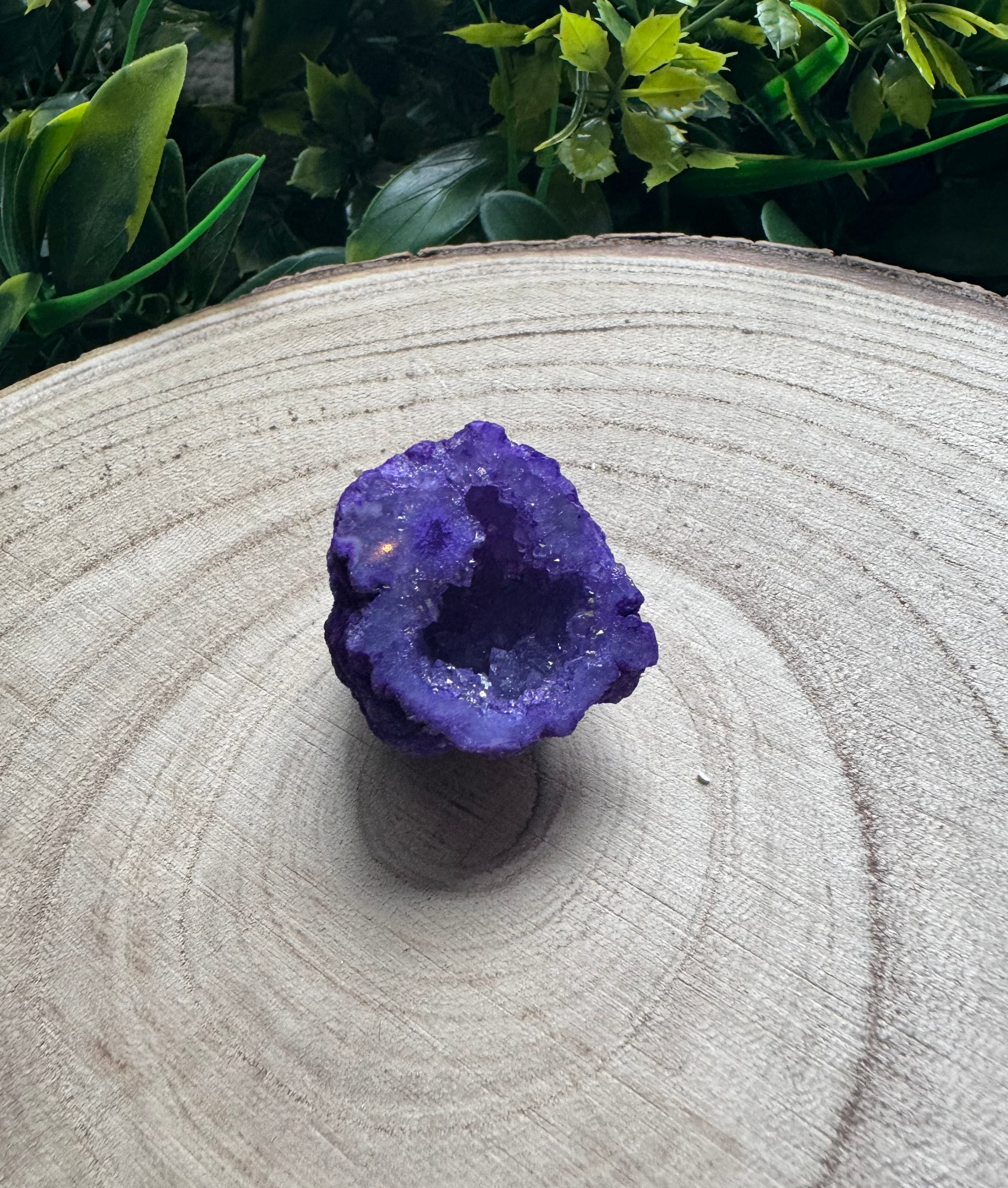 Purple Quartz Druzy Geode
