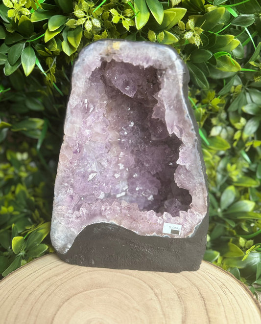 5kg Amethyst Cathedral