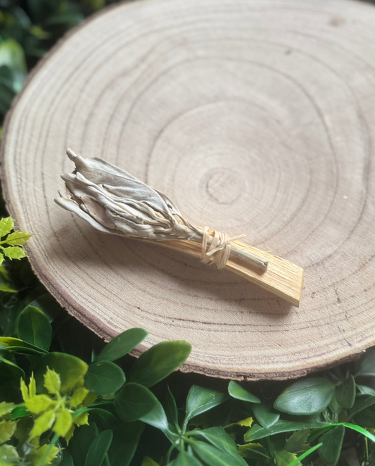 Sage & Palo Santo Torch